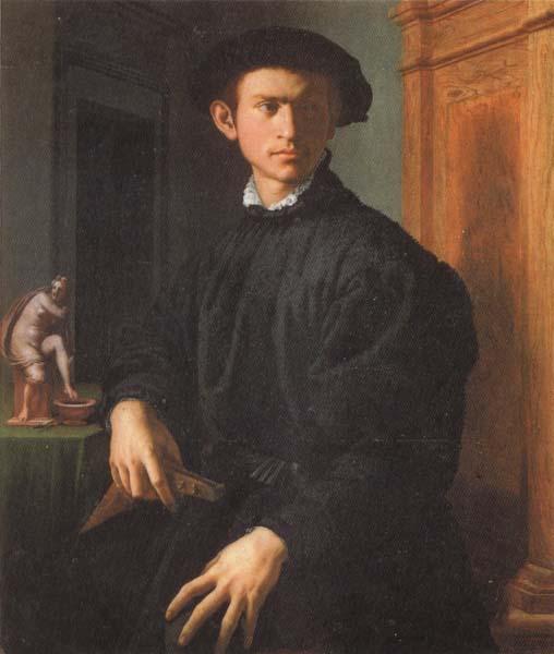Agnolo Bronzino Portrait of a Young Man with a Lute oil painting image